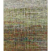 Carpet-low pile shag-THM-10818
