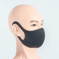 Mask / mouth and nose mask / community mask